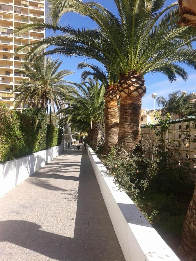 Apartment Puigval El Puig (Valencia)